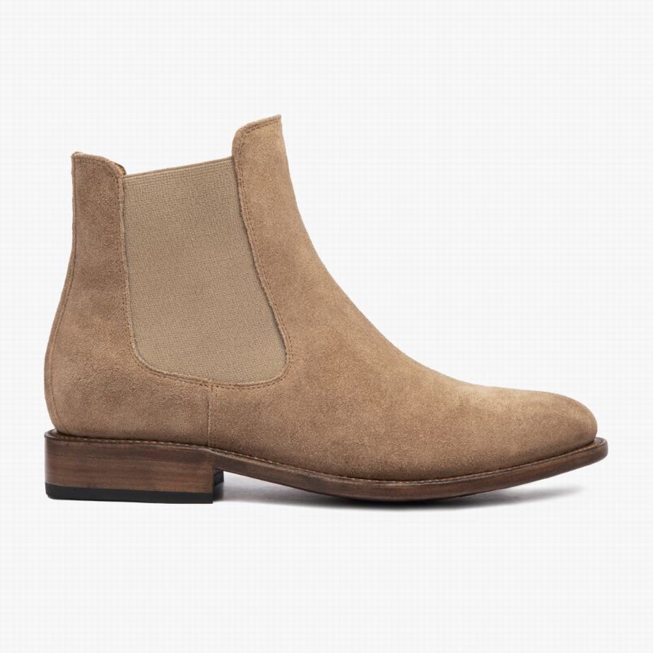 Thursday Boots Cavalier Miesten Chelsea Nilkkurit Beige | YNT575NW