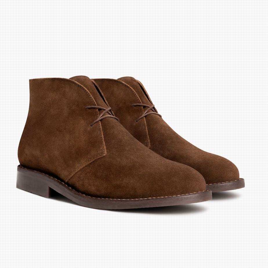 Thursday Boots Scout Miesten Chukka Saappaat Suklaa | HZW5431VU