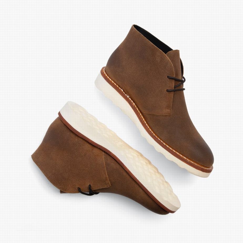 Thursday Boots Scout Miesten Chukka Saappaat Safari | AUP5988TF